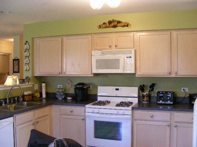 1830 Red Bud Road Bolingbrook, IL 60490 - Photo 3 of 25