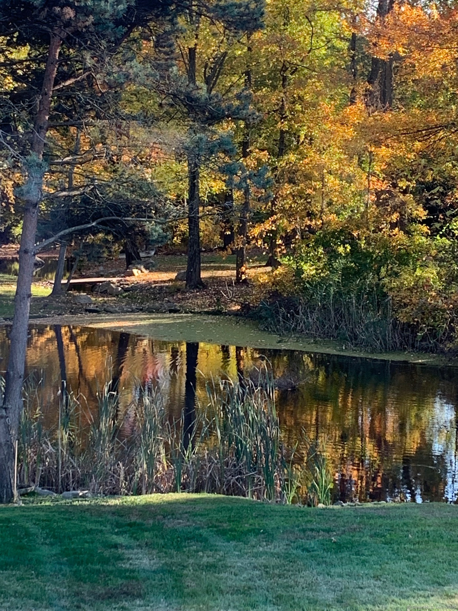 18 Hales Road Westport, CT 06880 - Photo 24 of 26 a view of a lake from a yard