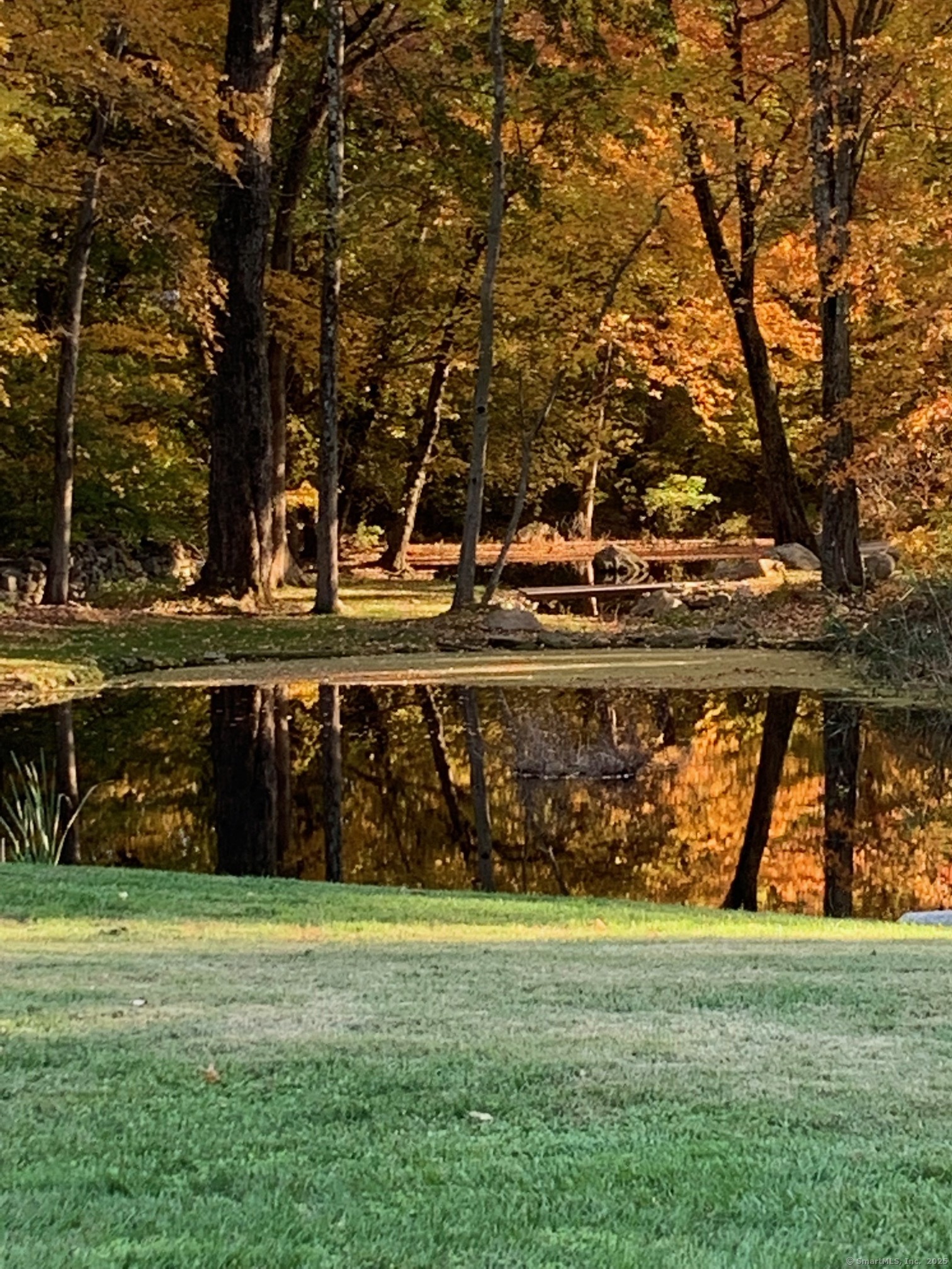 18 Hales Road Westport, CT 06880 - Photo 25 of 26 a view of outdoor space with garden and trees