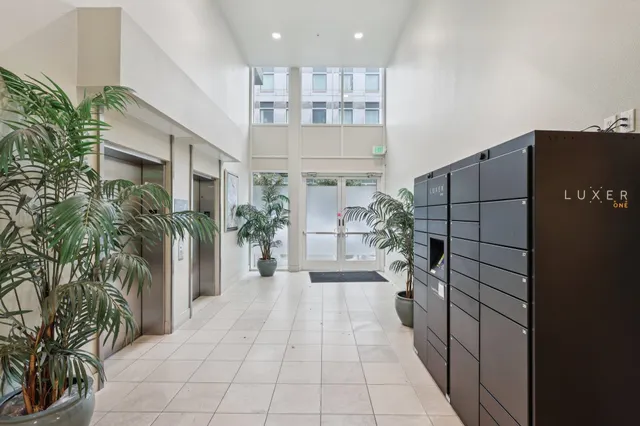 a hallway with a potted plant in front of it