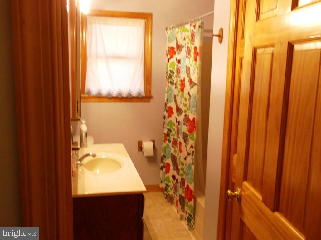 6743 Howellsville Road Boyce, VA 22620 - Photo 11 of 17 Bath
