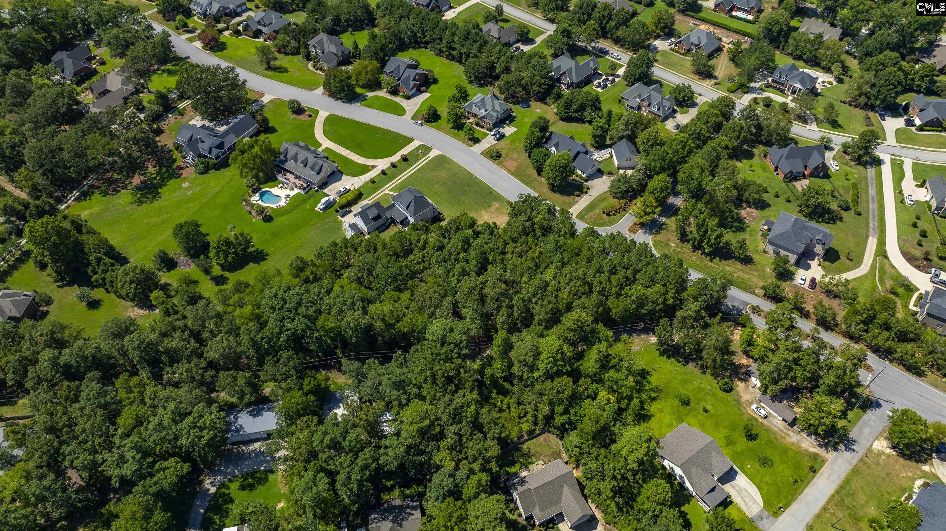 409 Caro Lane Chapin, SC 29036 - Photo 12 of 24
