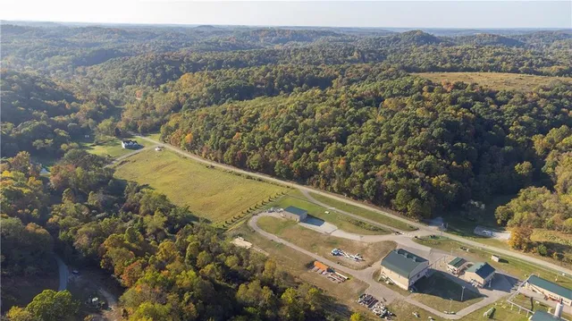 a view of a yard with a mountain
