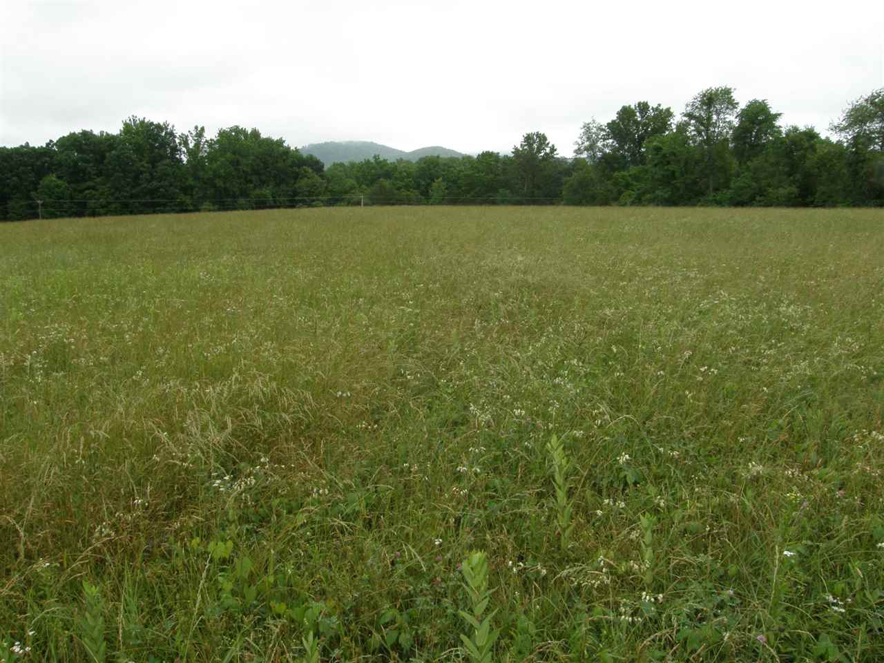 36 A Irish Road Faber, VA 22938 - Photo 1 of 19 a view of an outdoor space and a yard