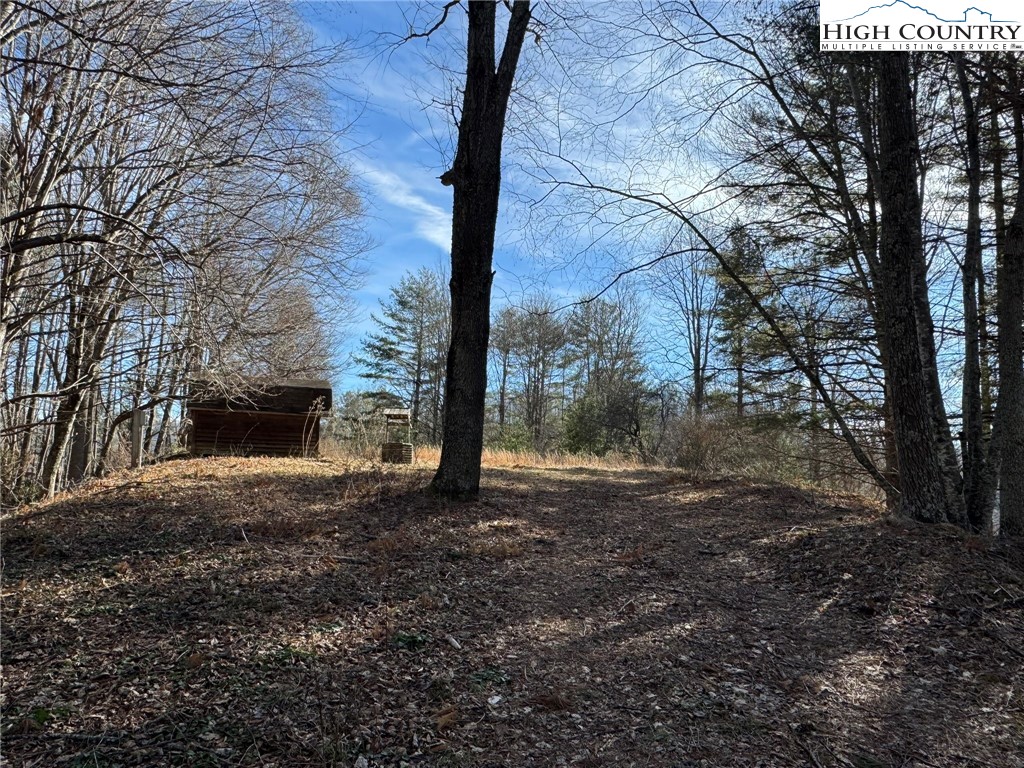 Palmers Peak Road Vilas, NC 28692 - Photo 1 of 19 Gallery Image 1