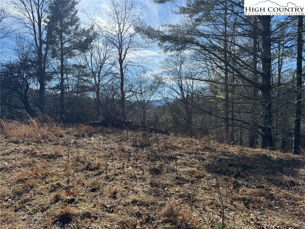 Palmers Peak Road Vilas, NC 28692 - Photo 13 of 19 Gallery Image 13