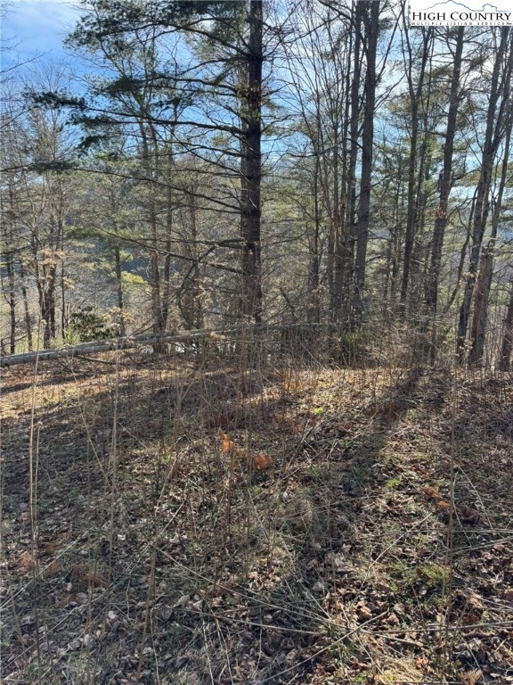 Palmers Peak Road Vilas, NC 28692 - Photo 14 of 19 Gallery Image 14