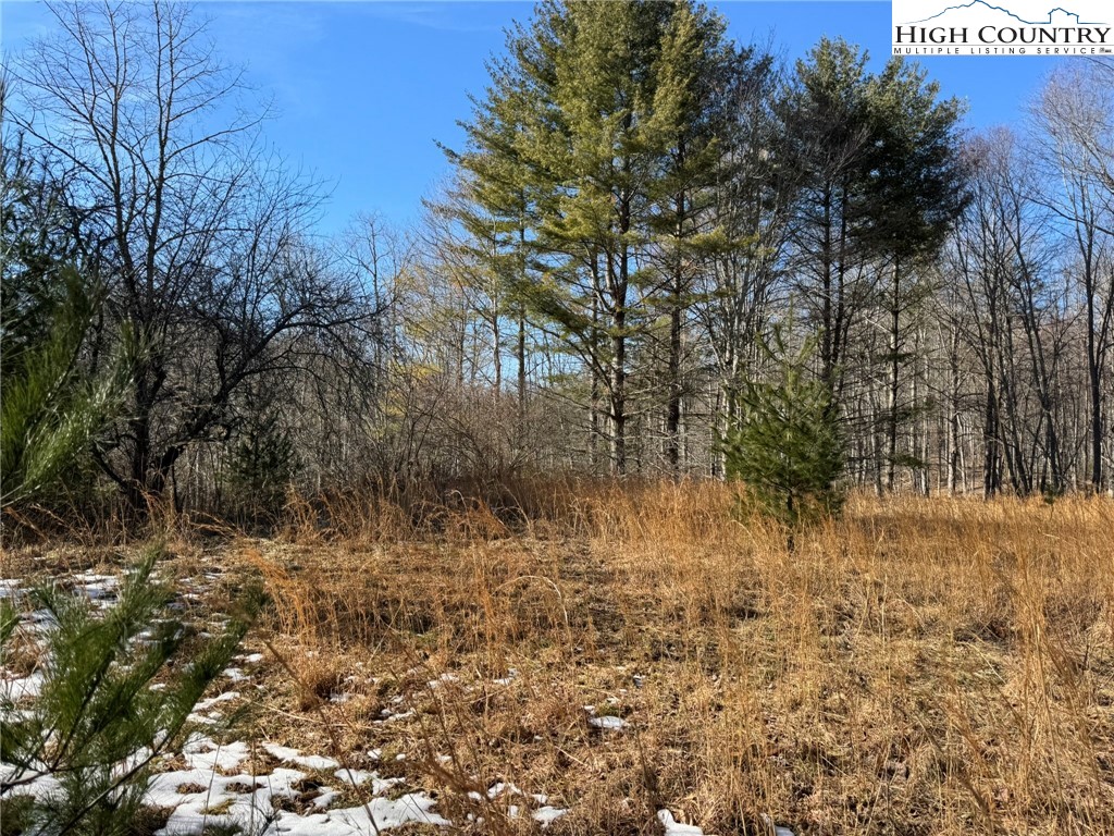 Palmers Peak Road Vilas, NC 28692 - Photo 15 of 19 Gallery Image 15
