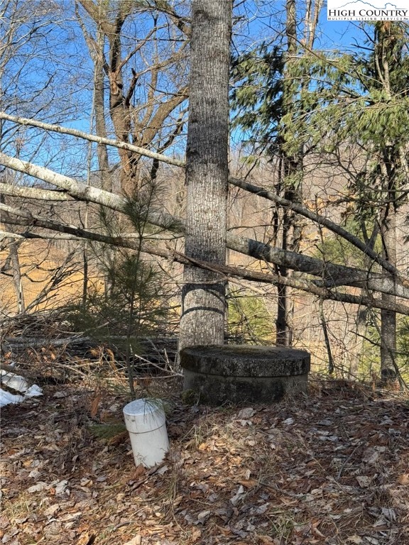 Palmers Peak Road Vilas, NC 28692 - Photo 17 of 19 Gallery Image 17