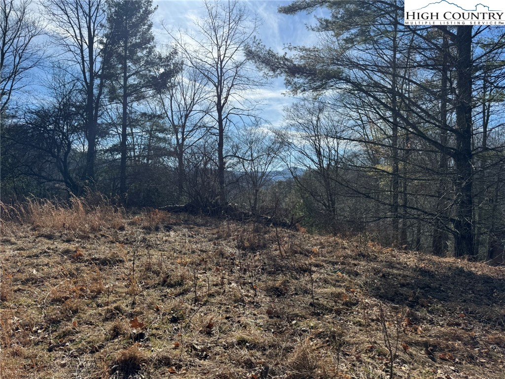 Palmers Peak Road Vilas, NC 28692 - Photo 2 of 19 Gallery Image 2