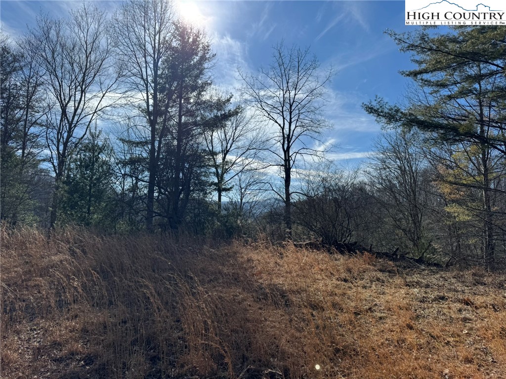 Palmers Peak Road Vilas, NC 28692 - Photo 3 of 19 Gallery Image 3