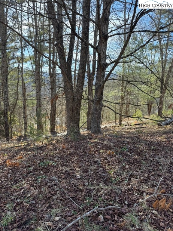 Palmers Peak Road Vilas, NC 28692 - Photo 7 of 19 Gallery Image 7