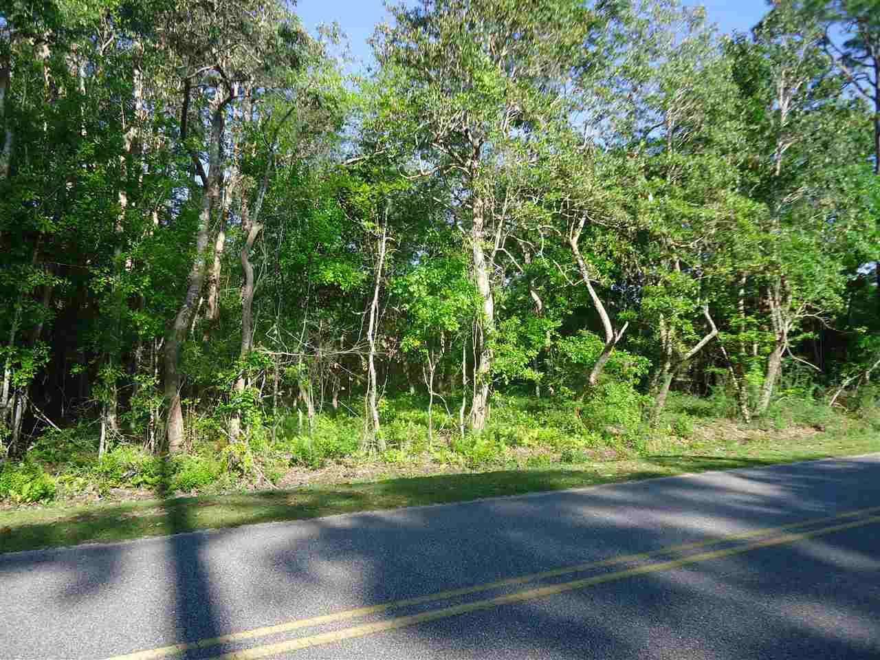 0 Hammock Road Elberta, AL 36530 - Photo 3 of 15