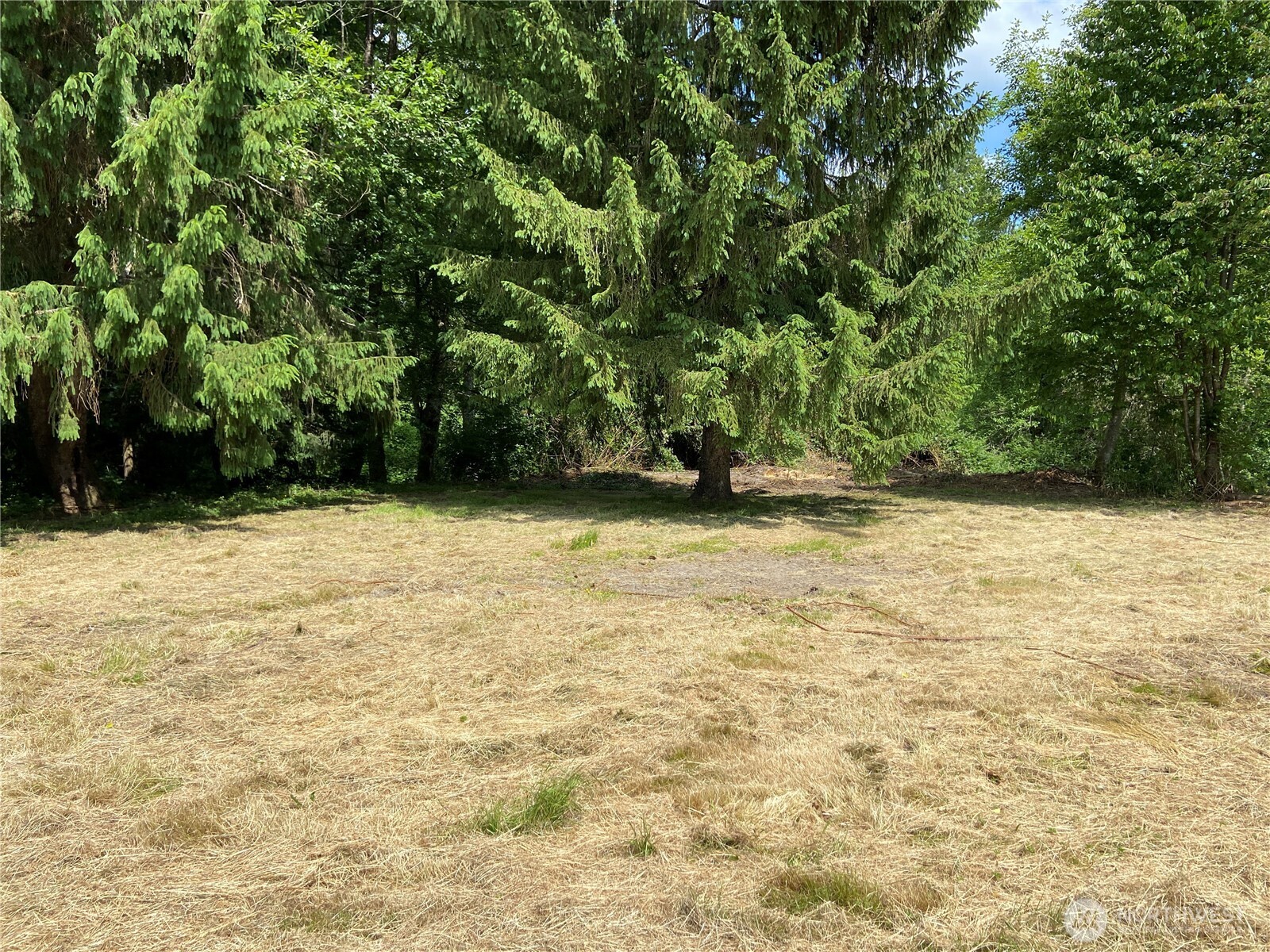 26220 Hoehn Road Sedro-Woolley, WA 98284 - Photo 1 of 14 Gallery Image 1