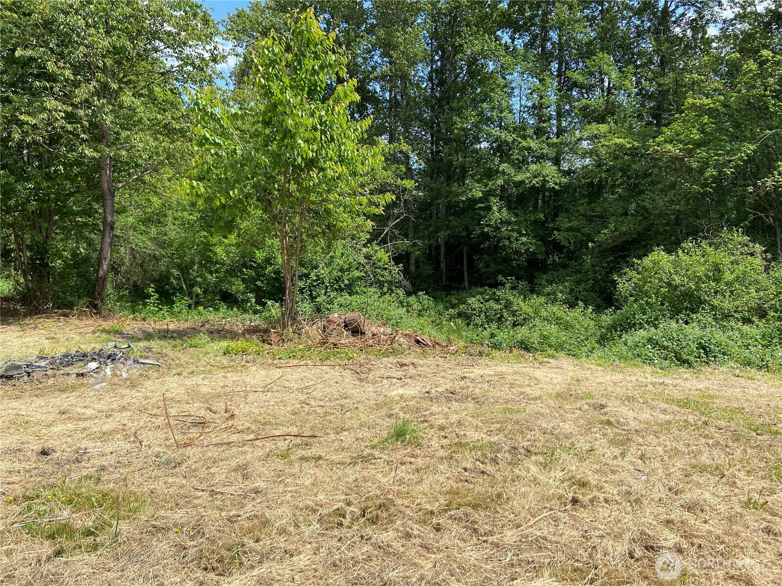 26220 Hoehn Road Sedro-Woolley, WA 98284 - Photo 5 of 14 Gallery Image 5