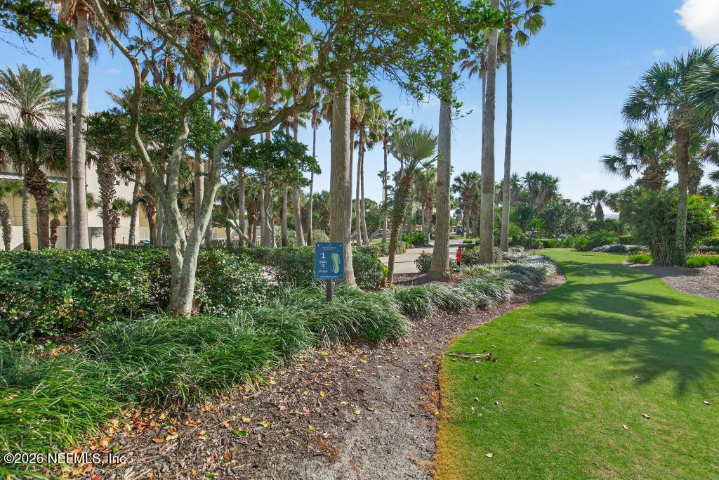 320 Ocean Crest Drive Palm Coast, FL 32137 - Photo 70 of 93 a view of a park with a tree