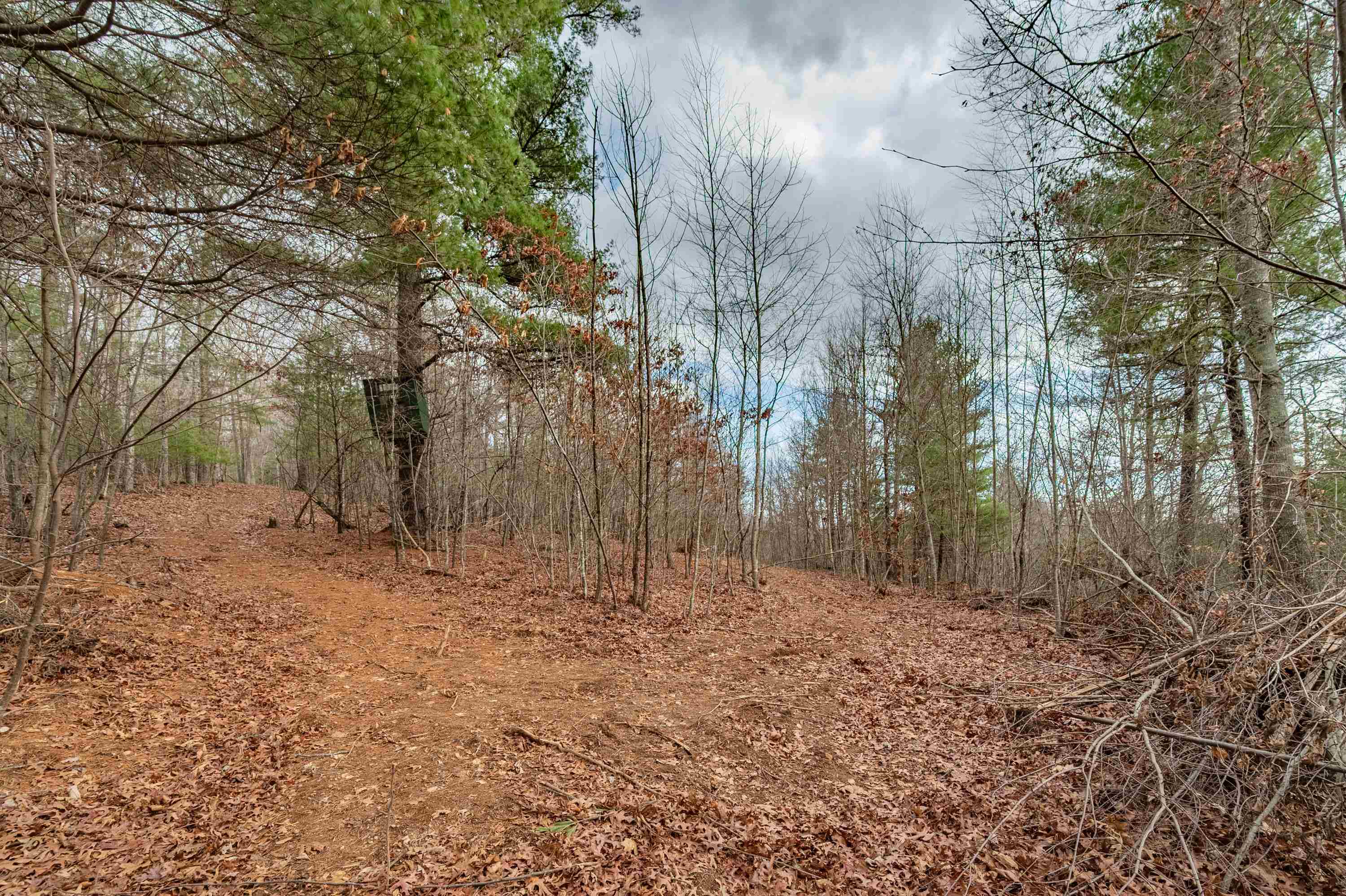 Tbd Spangler Mill Road Northeast Floyd, VA 24091 - Photo 12 of 44 Gallery Image 12