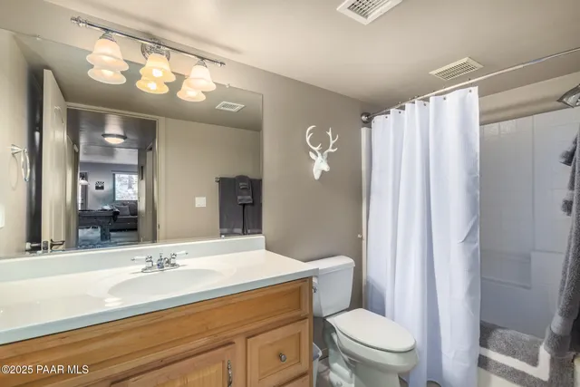 a bathroom with a sink a toilet a mirror a vanity and shower