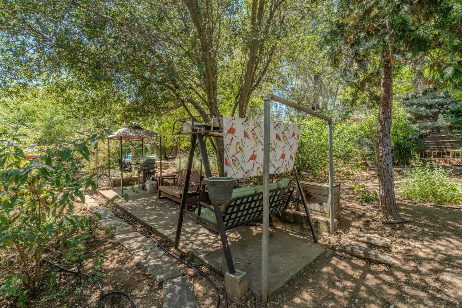 419 Rex Avenue Jackson, CA 95642 - Photo 74 of 90