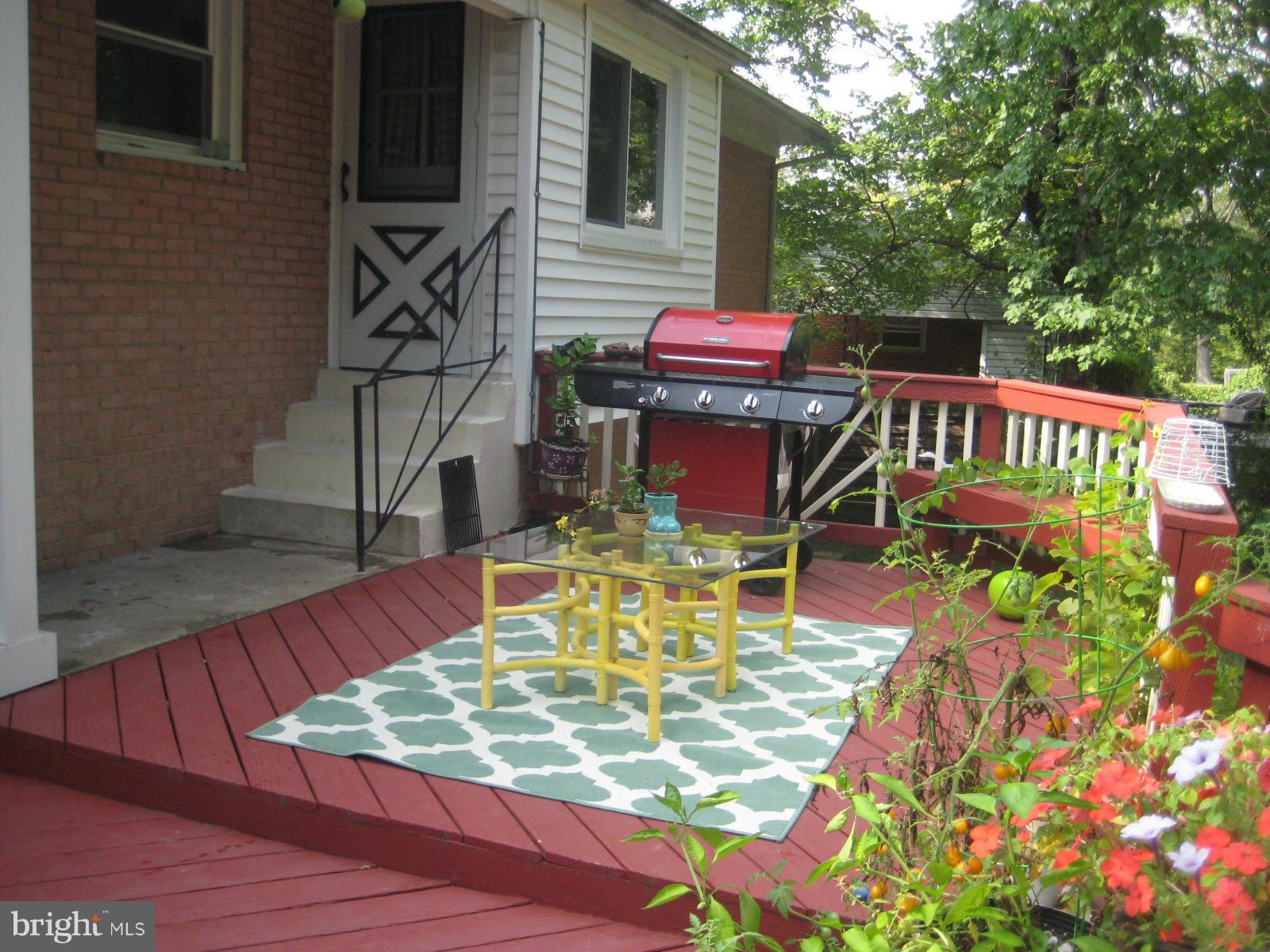 10141 Riggs Road Adelphi, MD 20783 - Photo 22 of 24 Large Deck