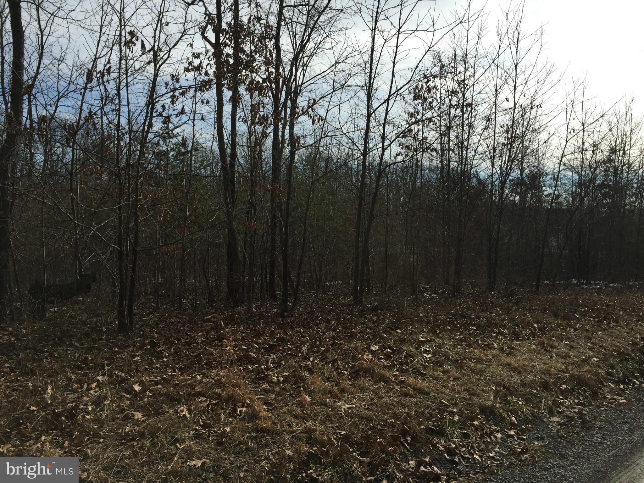 New Hope Road Cross Junction, VA 22625 - Photo 3 of 27 Exterior (Front)