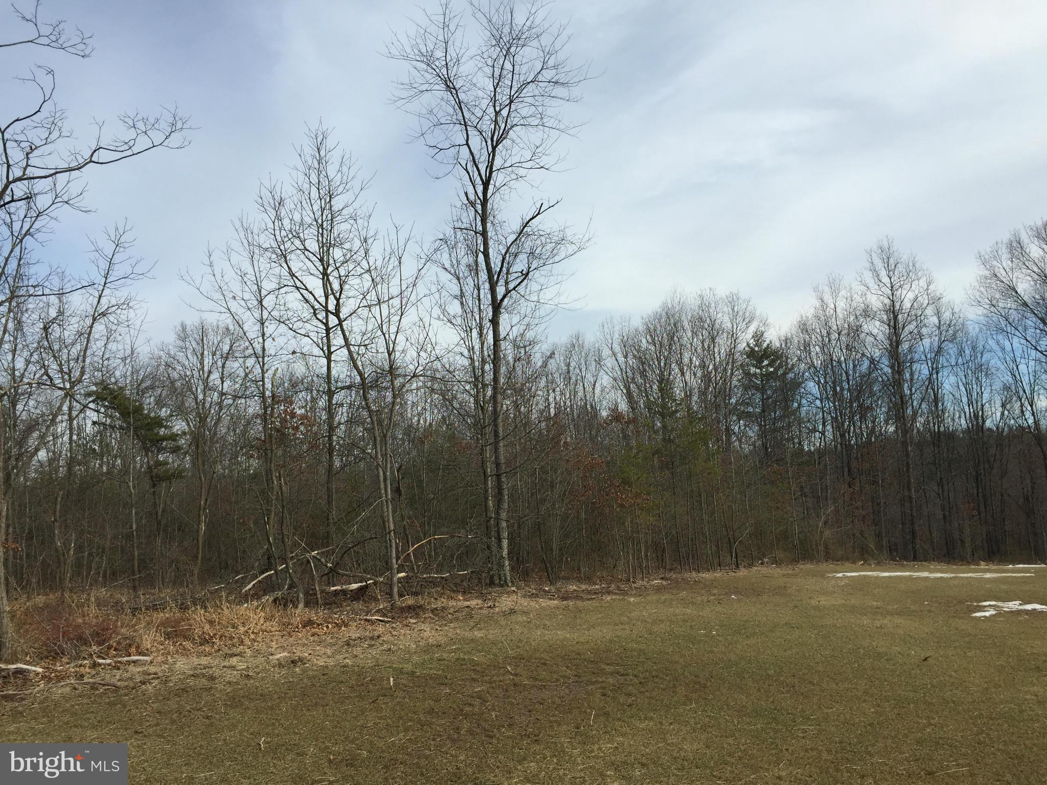 New Hope Road Cross Junction, VA 22625 - Photo 21 of 27 Exterior (Rear)