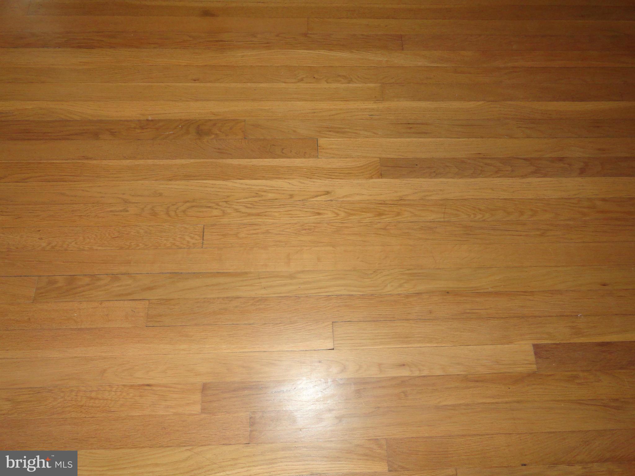 3711 Fairly Street Silver Spring, MD 20906 - Photo 21 of 21 Interior (General)