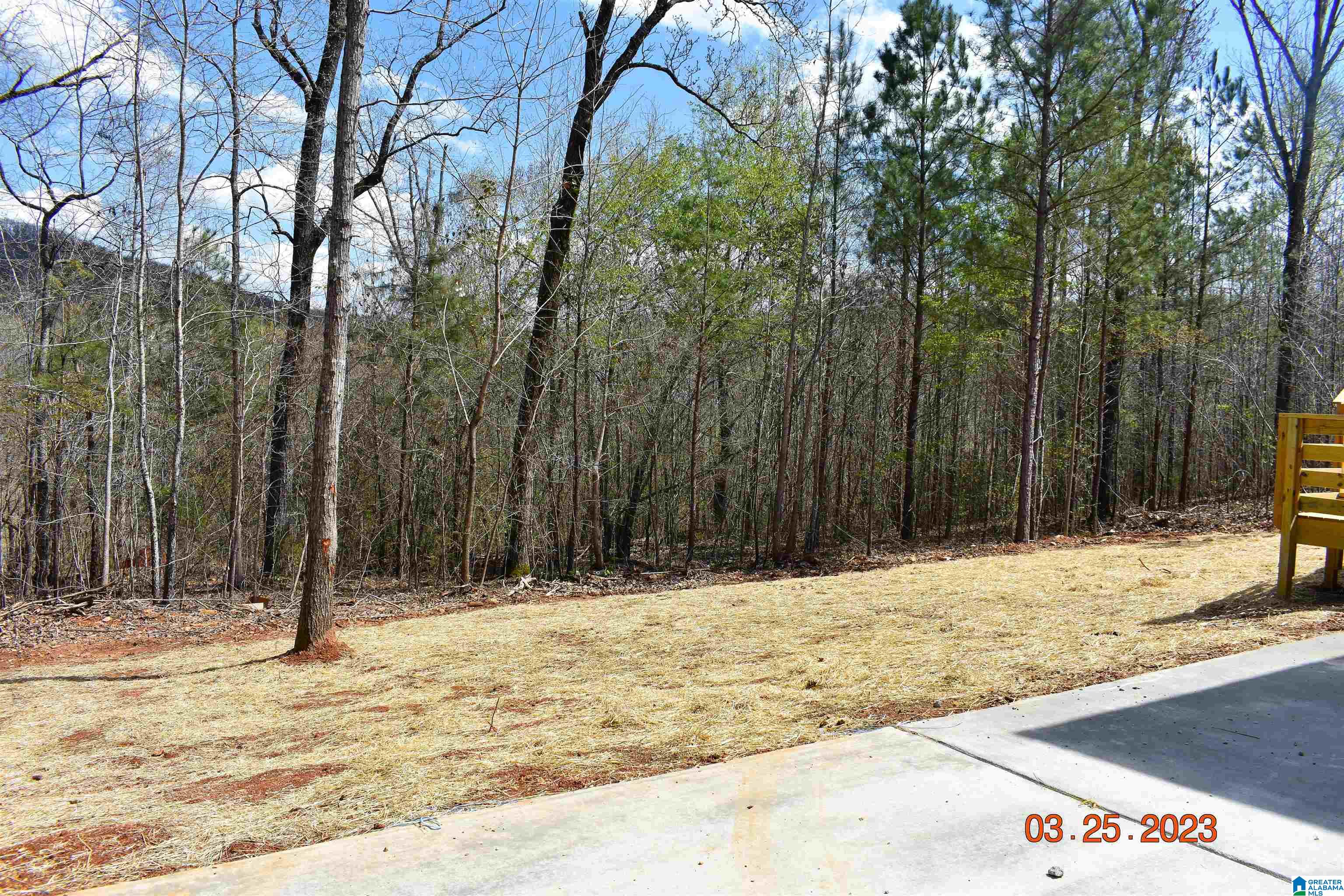 7961 Forest Loop Pinson, AL 35126 - Photo 6 of 23