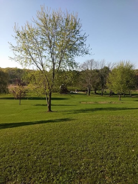 W10348 Prindle Road Merrillan, WI 54754 - Photo 39 of 45