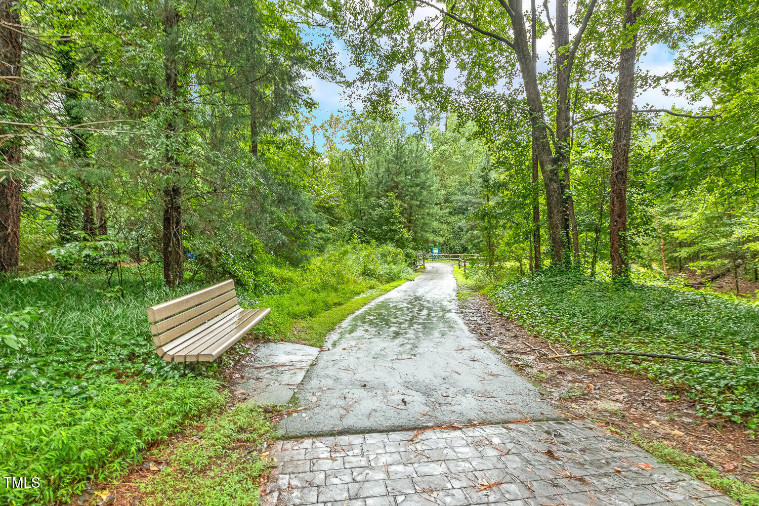 217 Danforth Drive Cary, NC 27511 - Photo 36 of 40 a view of a park with large trees