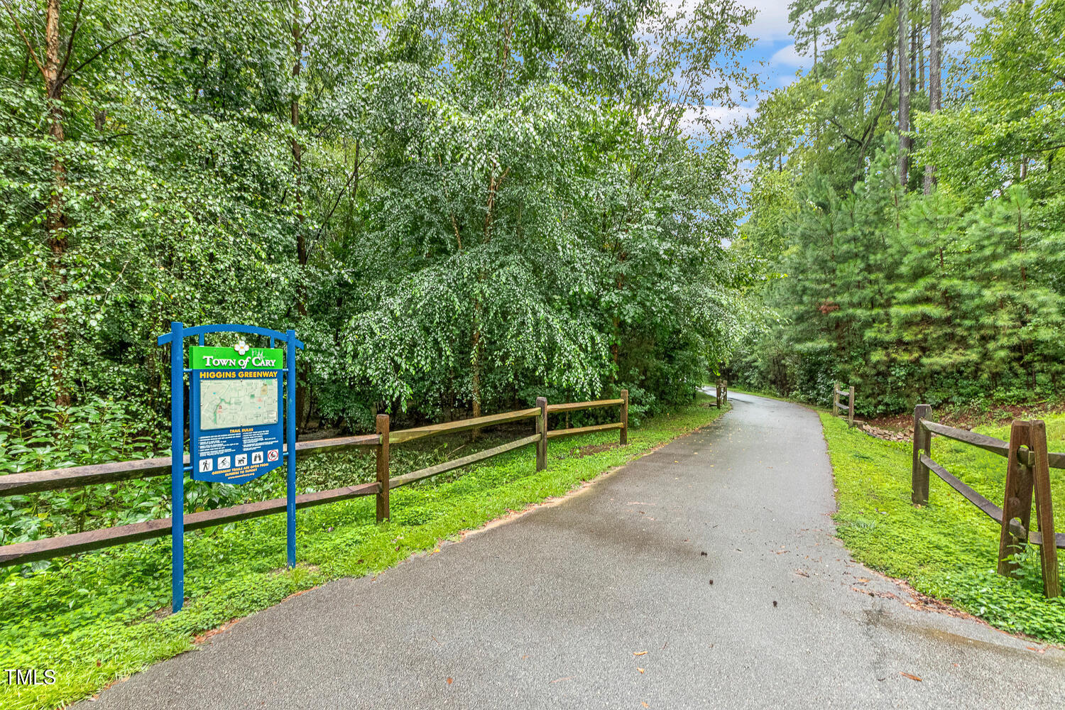 217 Danforth Drive Cary, NC 27511 - Photo 38 of 40 a view of a yard with large trees
