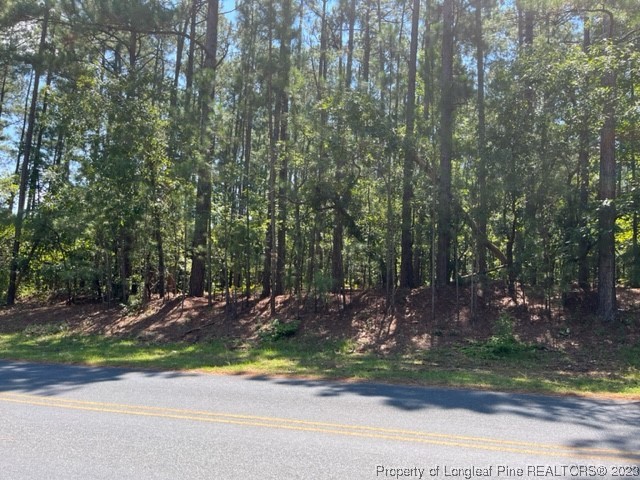 a view of a backyard with plants and trees