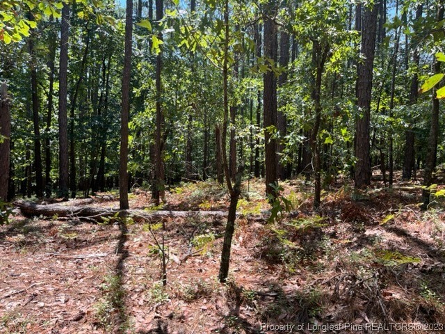 Tbd Poole Road Raeford, NC 28376 - Photo 5 of 6 a view of outdoor space with lots of trees