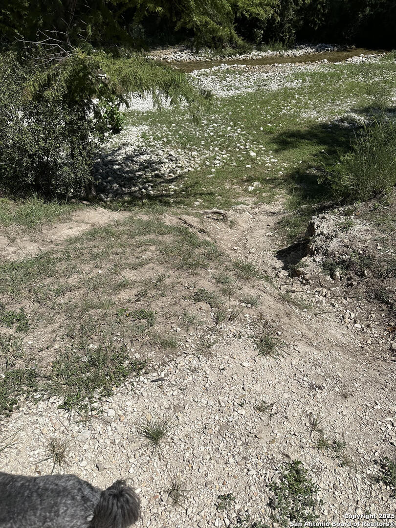 1543 Walter White Ranch Road Leakey, TX 78873 - Photo 4 of 4 a view of a yard with plants and large trees