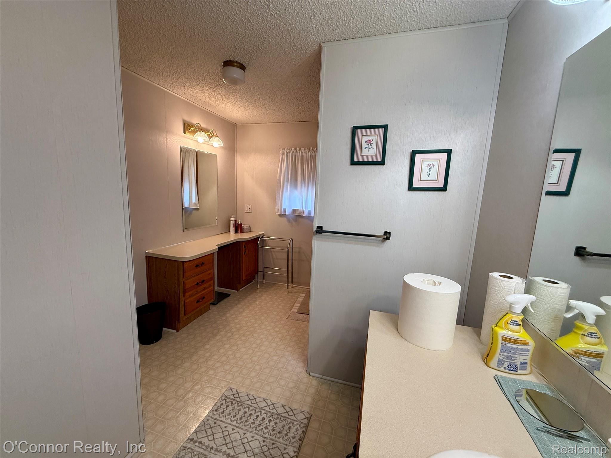 3333 Ravenswood Road, Unit 61 Marysville, MI 48040 - Photo 9 of 18 Bathroom featuring vanity, light floors, and a textured ceiling