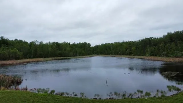 $475,000 | 16183 165th Street Northeast, Foley, MN 56329