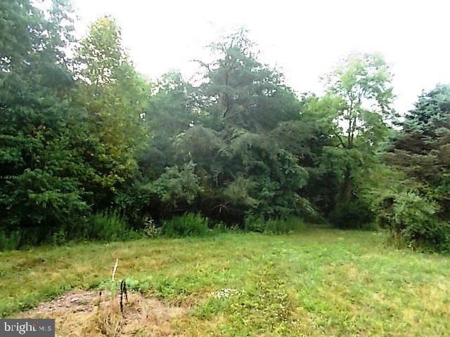 601 Hunters Valley Road, Unit LOT 5 Liverpool, PA 17045 - Photo 4 of 7 Gallery Image 4