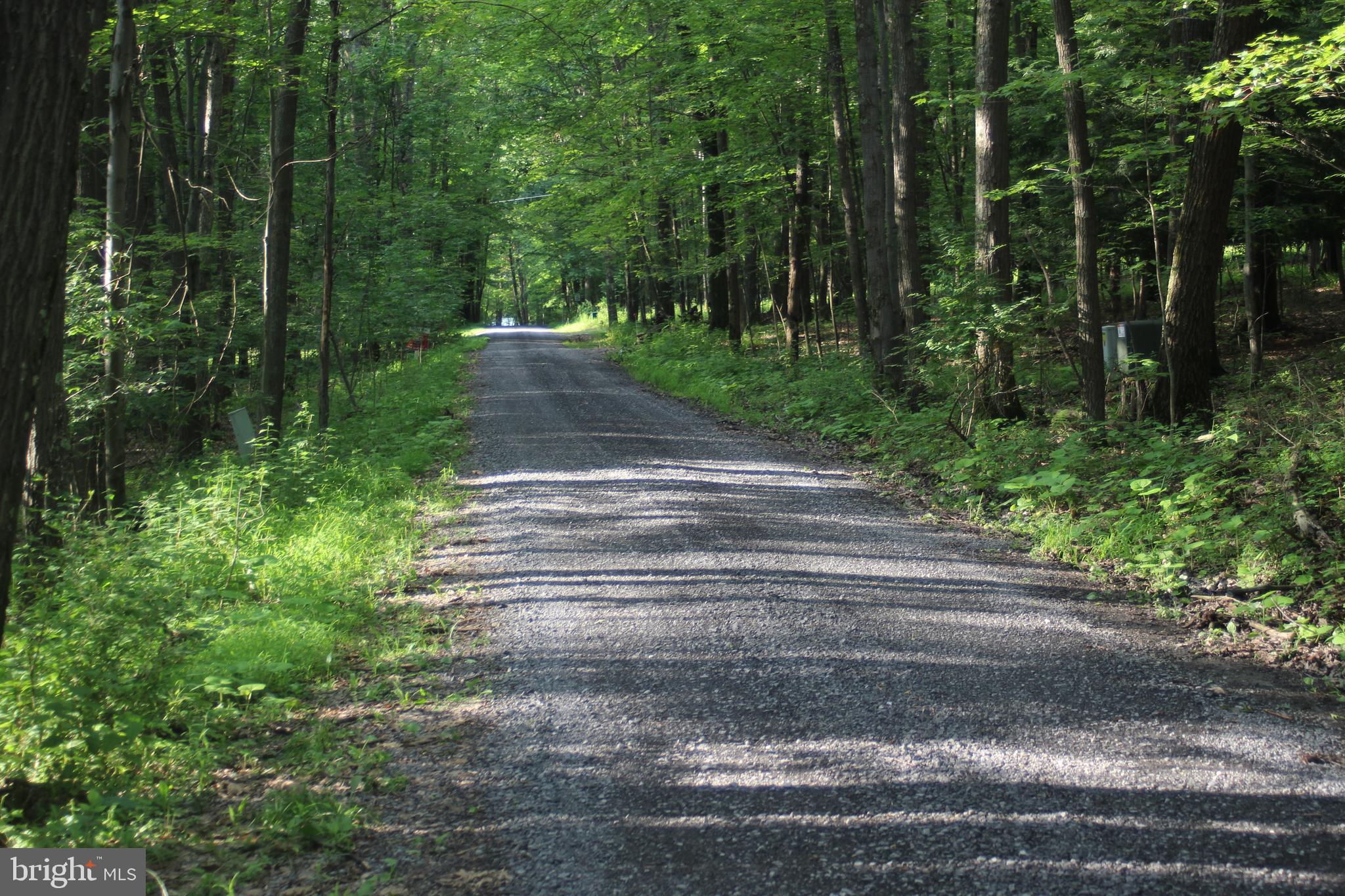 North Ridge Road McHenry, MD 21541 - Photo 3 of 5 Road in front of property