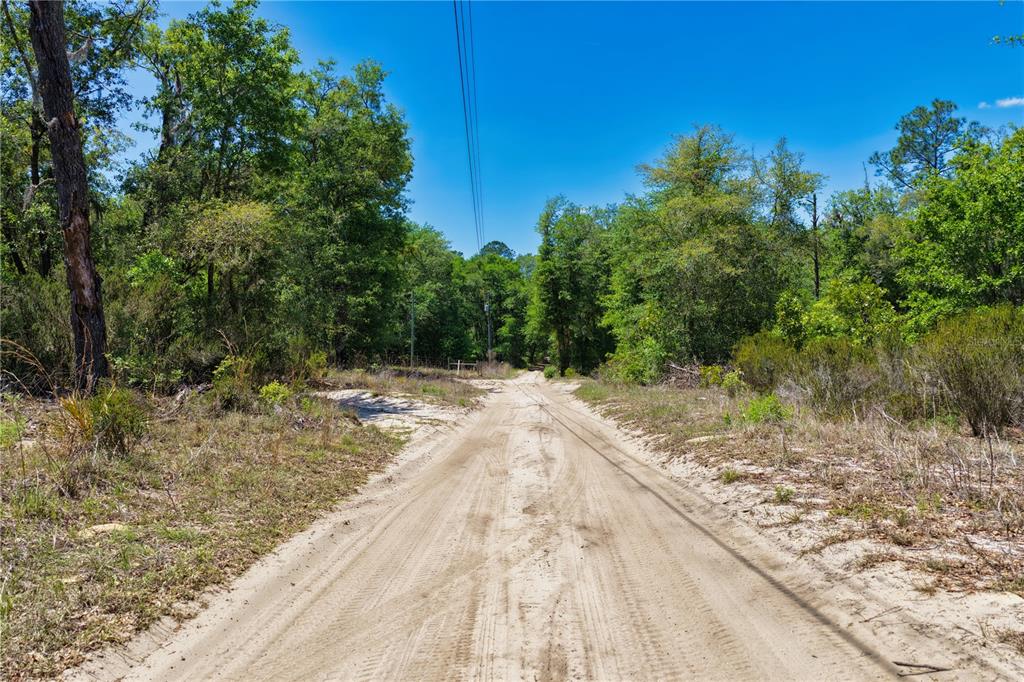 2 Northeast 125th Street Bronson, FL 32621 - Photo 7 of 19