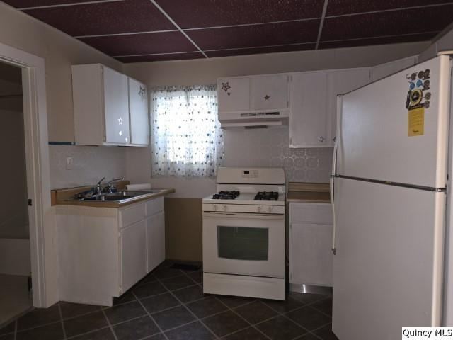 729 Buchanan Street Carthage, IL 62321 - Photo 11 of 16 a kitchen with cabinets and white stainless steel appliances