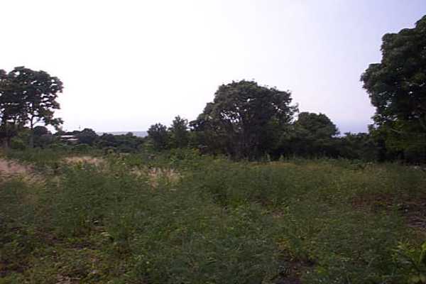 83-5294 Painted Church Road Captain Cook, HI 96704 - Photo 3 of 4 Gallery Image 3