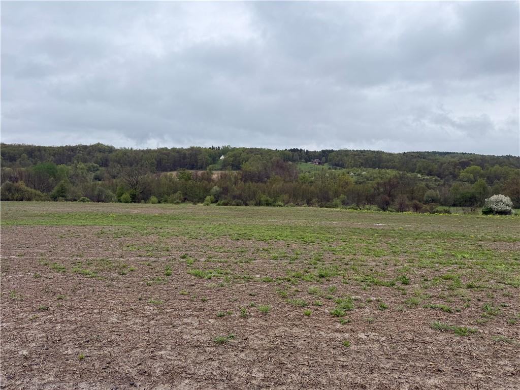 0 Dunn Valley Road Waterford, PA 16441 - Photo 37 of 43