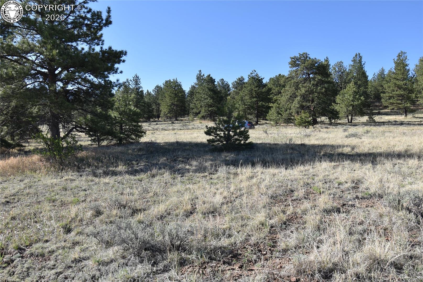 763 Apache Road Westcliffe, CO 81252 - Photo 12 of 19 Gallery Image 12