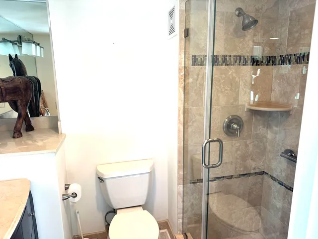 a bathroom with a toilet and a shower