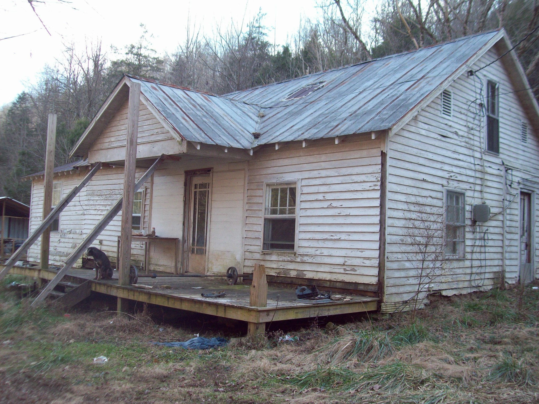 Gallery Image 1