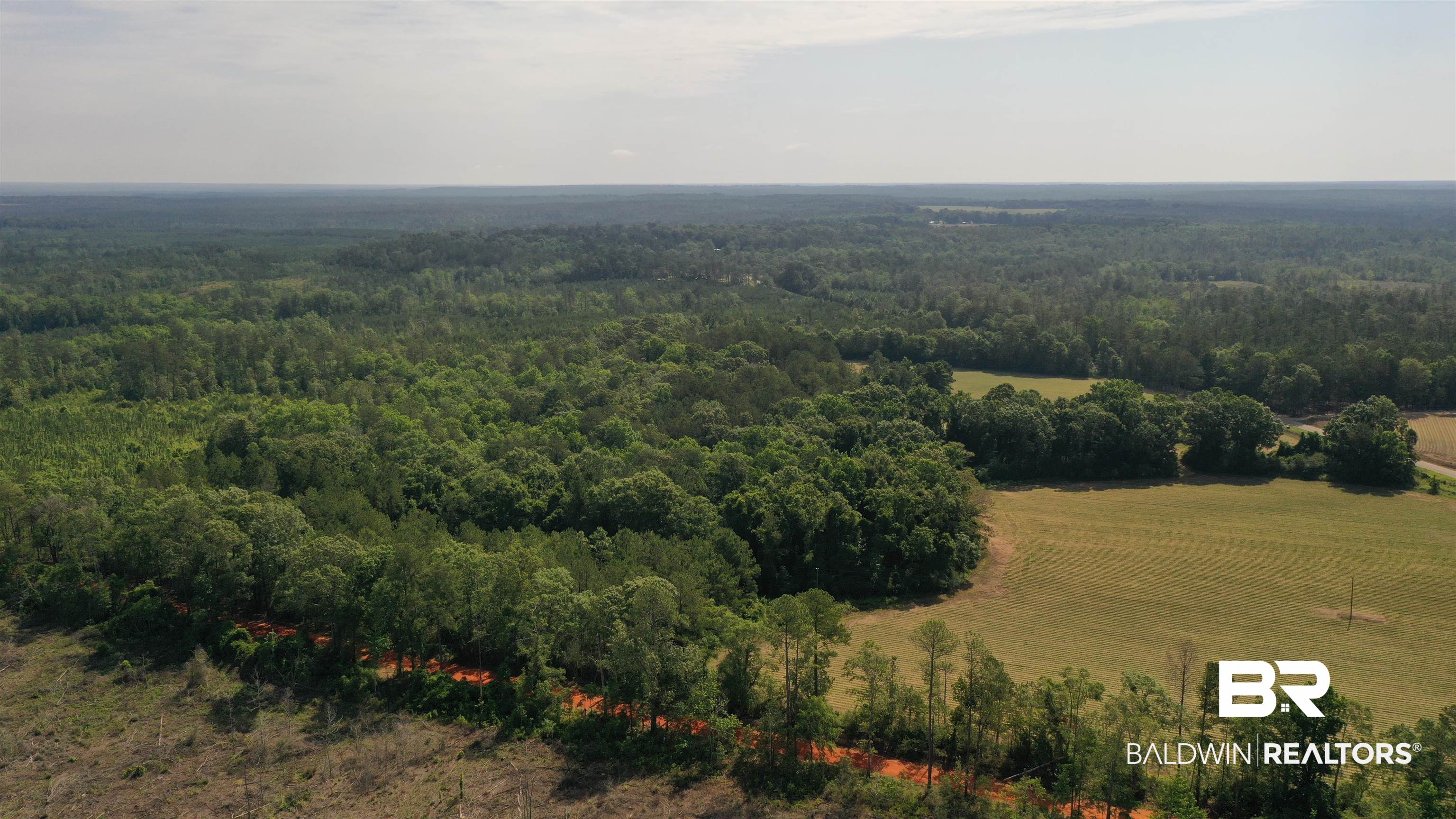 6 Travis Road Brewton, AL 36426 - Photo 13 of 22
