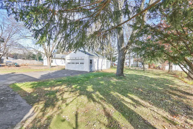 a view of a yard with plants and trees