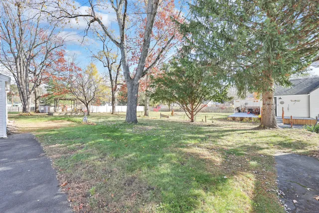 a view of yard with trees