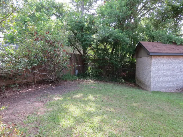a view of a backyard with plants and large trees
