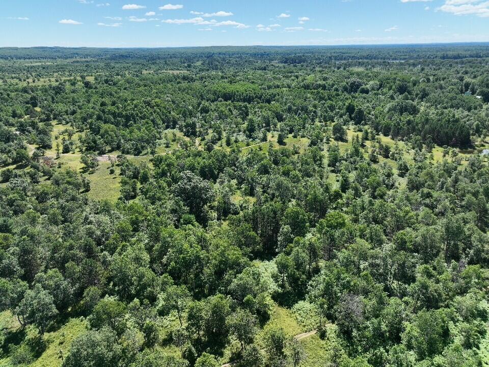 11722 Behlke Road Southeast Fife Lake, MI 49633 - Photo 19 of 20 21